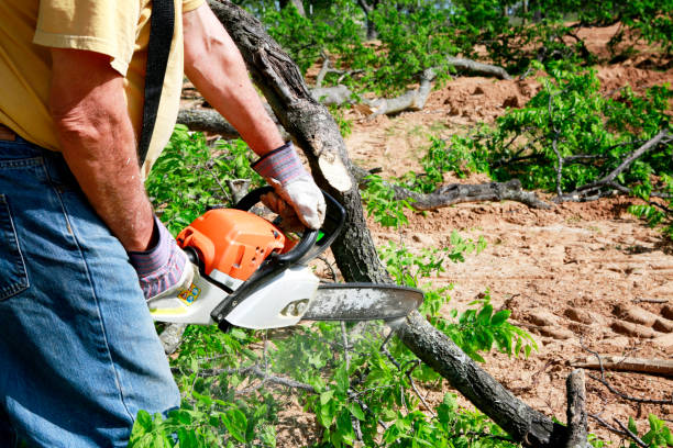 Lawn Grading and Leveling in Fennville, MI